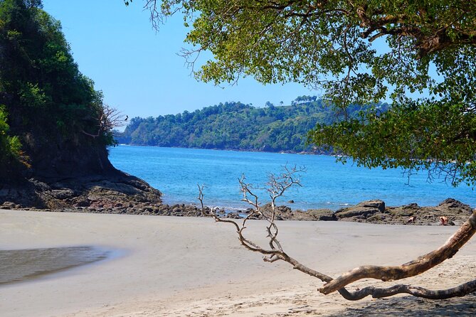 Guided Tour of the National Park Manuel Antonio - Tour Overview and Highlights