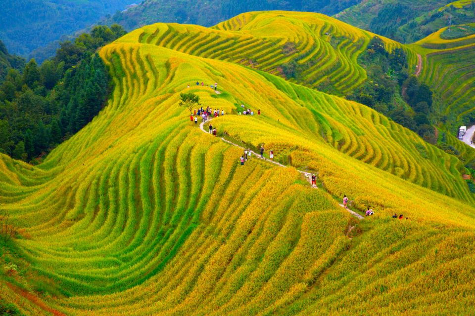 Guilin Longji Terraces Private Day Tour - Tour Overview