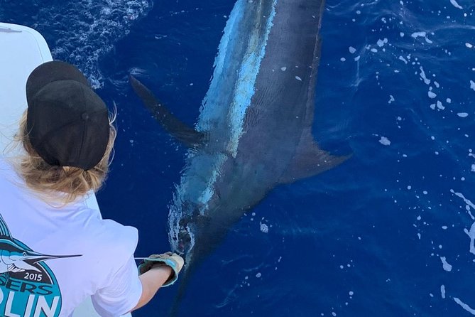 Half Day Afternoon Angler Charter