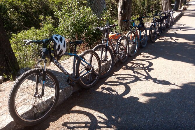 Half-Day Bike Tour in Lumbarda With Wine Tasting - Bike Tour Overview