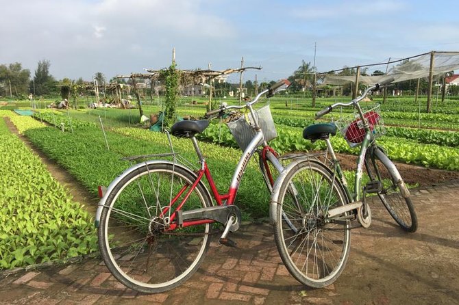 Half Day Cooking Class At Tra Que Vegetable Village Hoi An