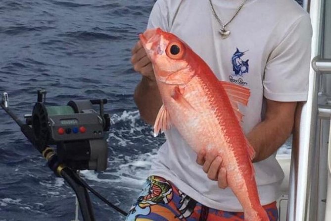 Half Day Deep Sea/Light Tackle Fishing Charters