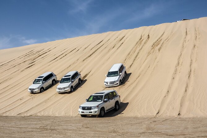 Half Day Desert Tour With 1 Hour Camel Ride