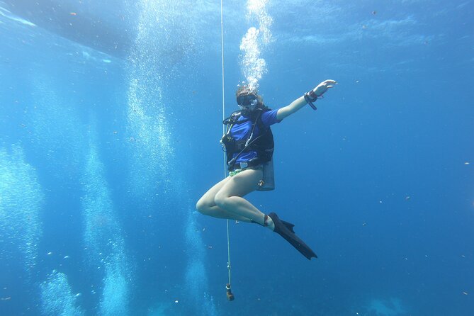 Half-Day Dive Tour in San Andres Island (CERTIFIED DIVERS ONLY)