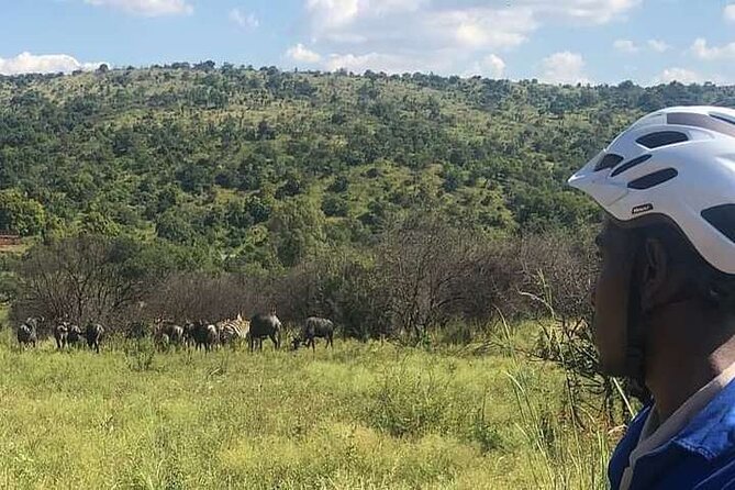 Half Day E-Biking With Wildlife Watching in Pretoria