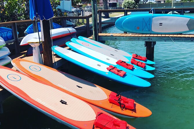 Half Day Excursion to Johns Pass Sandbar & Mangrove Tunnel