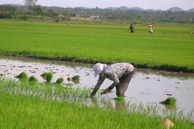 Half-Day Hoi An Countryside and Villages Tour by Bike