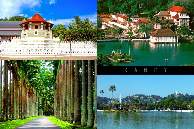 Half-Day Kandy City Tour by Tuk Tuk - Tour Overview