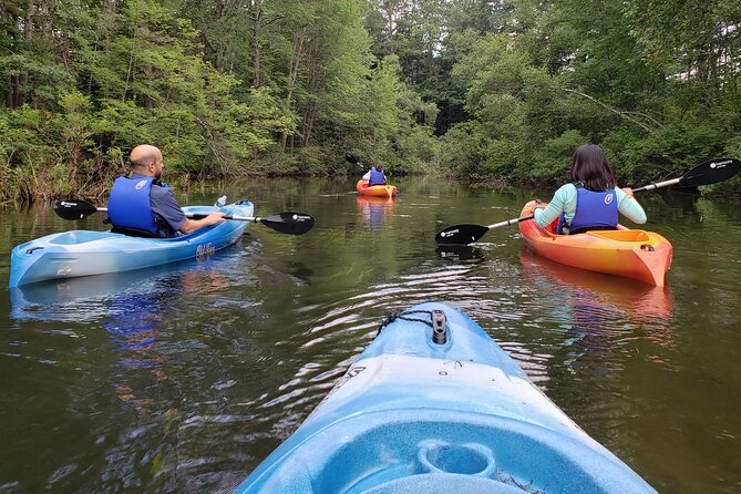 Half Day Kayak Rental on Sebago Lake