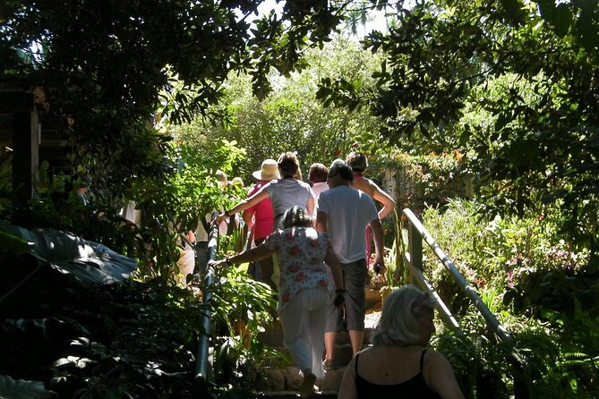 Half Day Macadamia and Coffee Tour From Quetzal Port