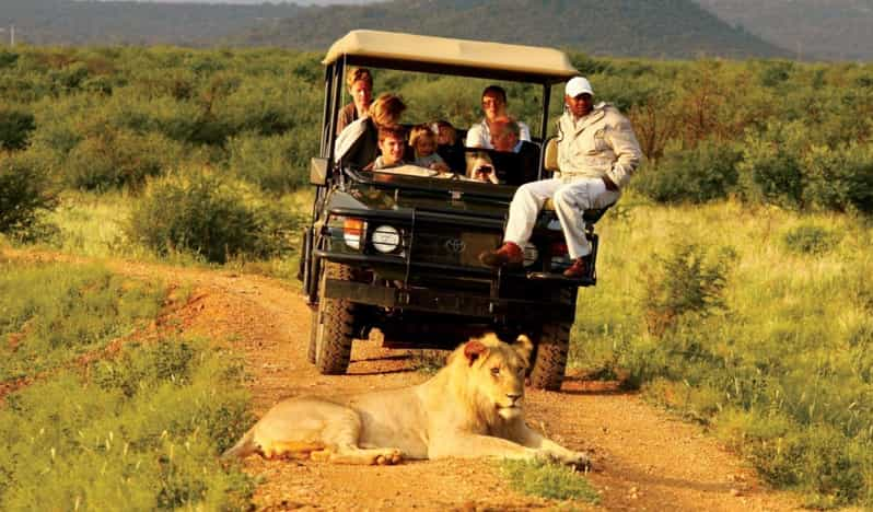 Half Day Natal Lion P & Tala Game Reserve From Durban Safari - Exploring Tala Game Reserve