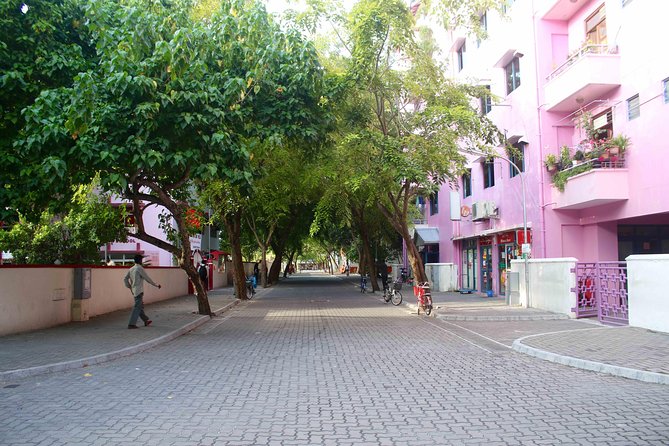 Half-Day Original Eco Tour to Villimale From Malé