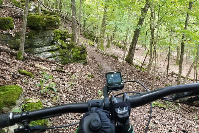 4 Best Tours In Arkansas