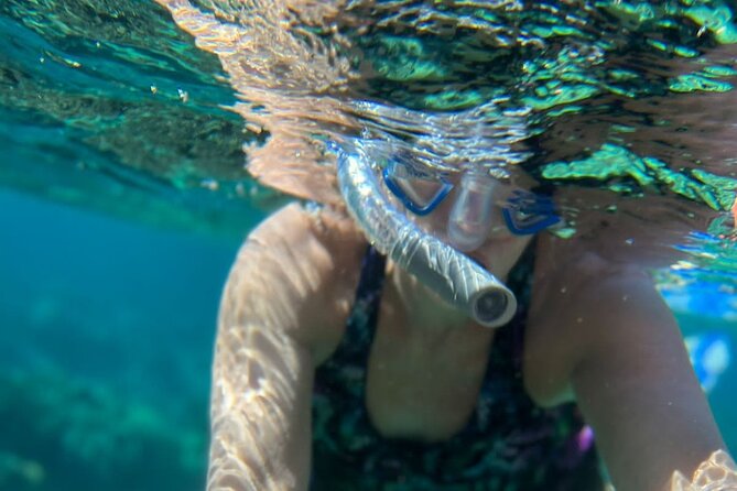 Half-Day Private Roatan Nature Park, Snorkeling, and Beach Tour