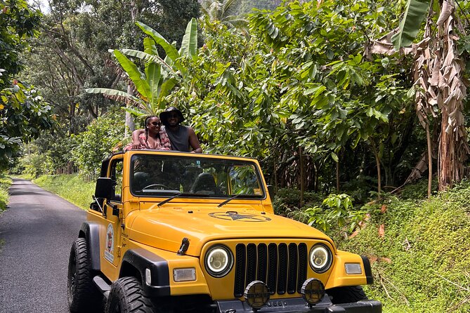Half Day Private Tour in St. Lucia Jeep Wrangler - Pickup and Itinerary