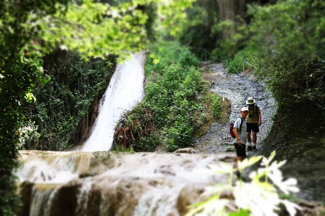 Half-Day River Trekking Stenosia From Kalamata