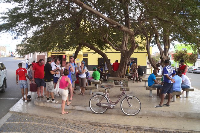 Half-Day Sal Island Tour With Shark Experience From Santa Maria