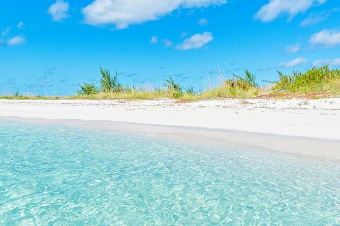 Half-day Snorkeling, Cruising, Iguana Island, Half Moon Bay
