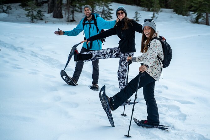 Half Day Snowshoe Hike in Tahoe National Forest - Overview of the Experience