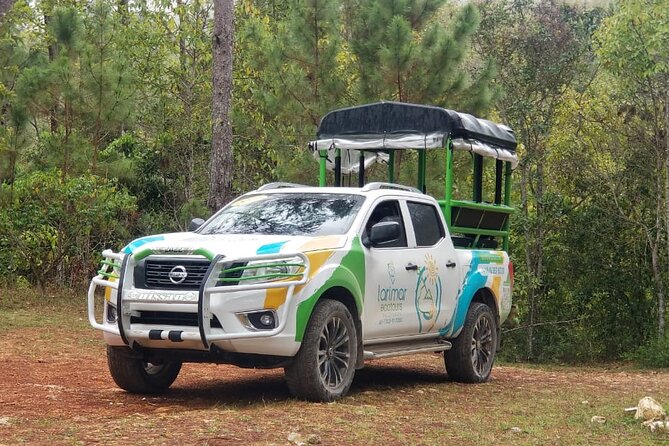 Half Day Tour Bird Watching in the Sierra De Bahoruco
