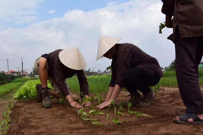 Half -Day Tra Que Herbal Village Tour From Hoi an