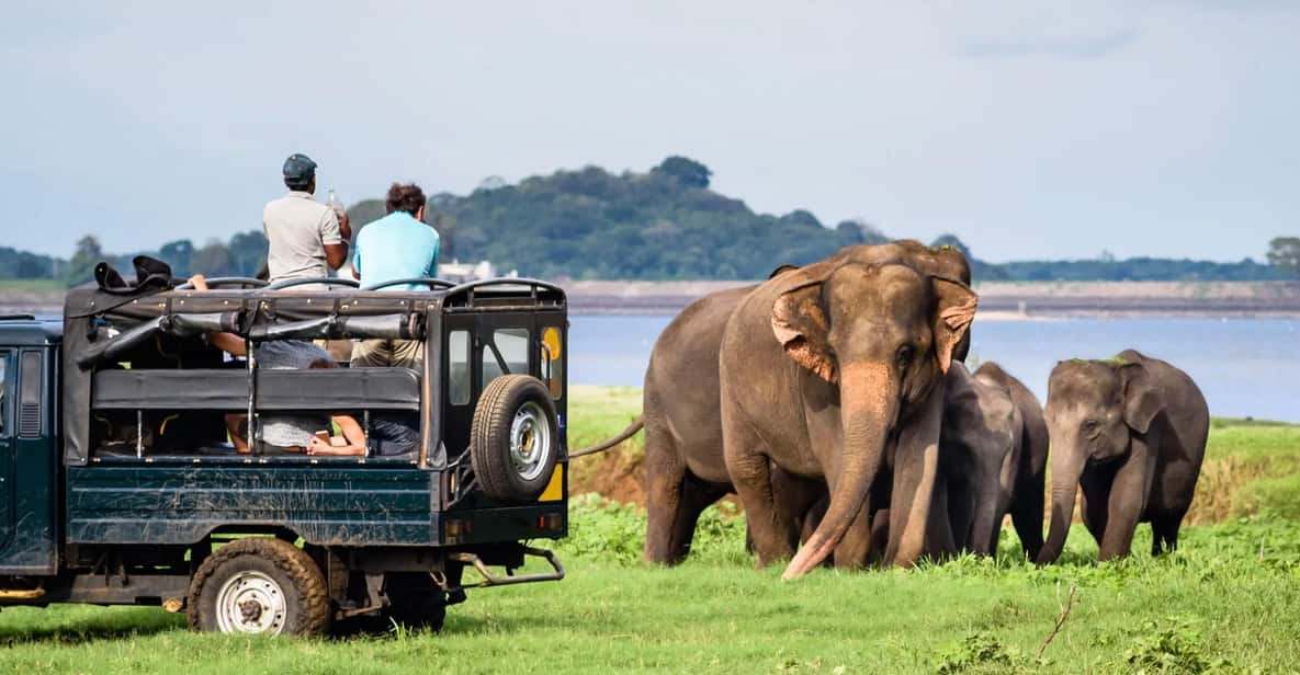 Half-Day Wild Safari in Udawalawa National Park - Wildlife and Biodiversity