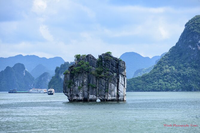 Halong Bay 6 Hours Cruise With Buffet, Sung Sot, Luon Cave, Titop - Itinerary Details