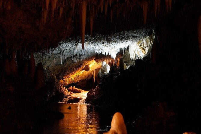 Harrisons Cave Tour in Barbados