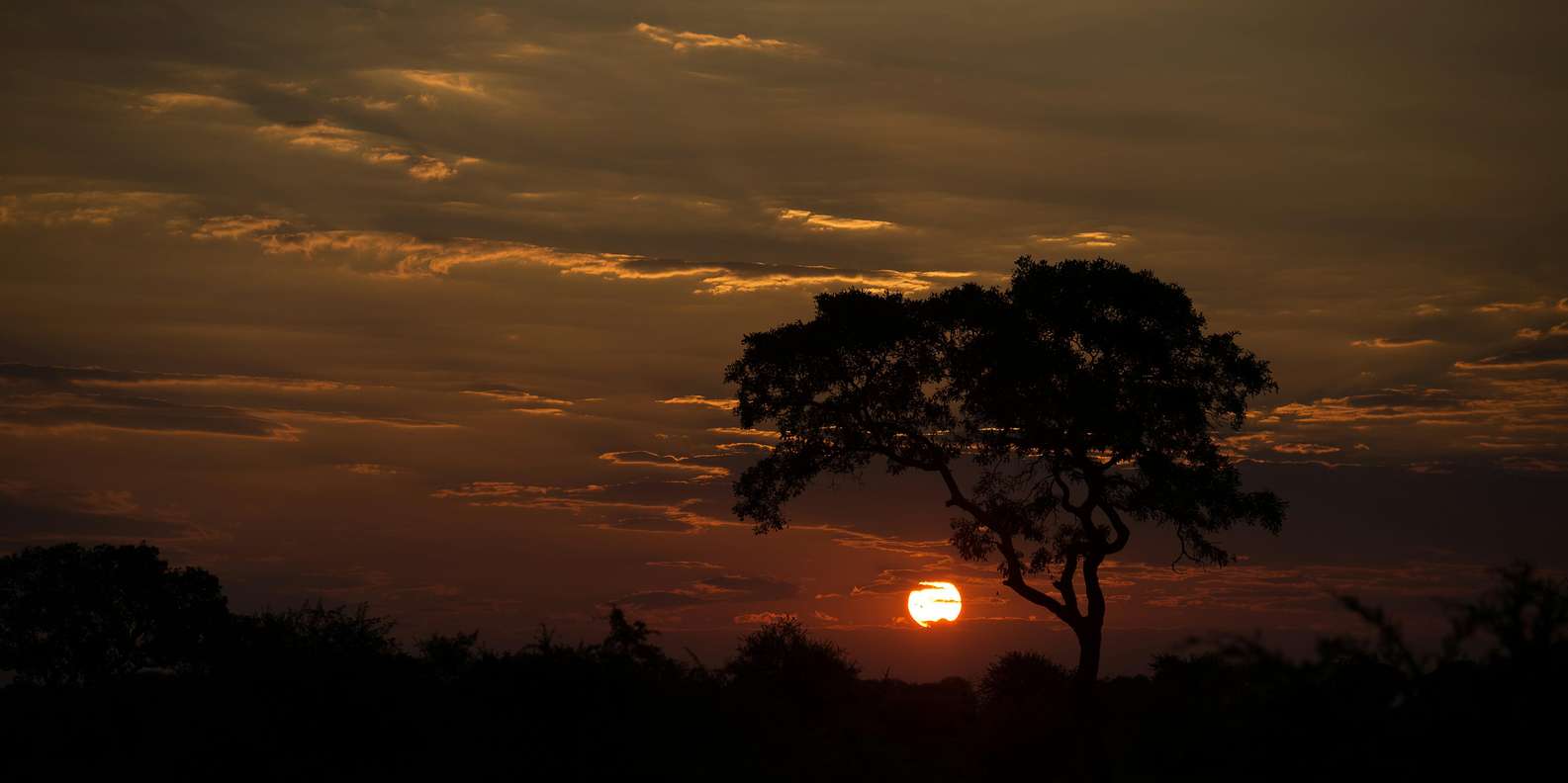 Hazyveiw : Kruger National Park Sunset Game Drive - Kruger National Park Overview