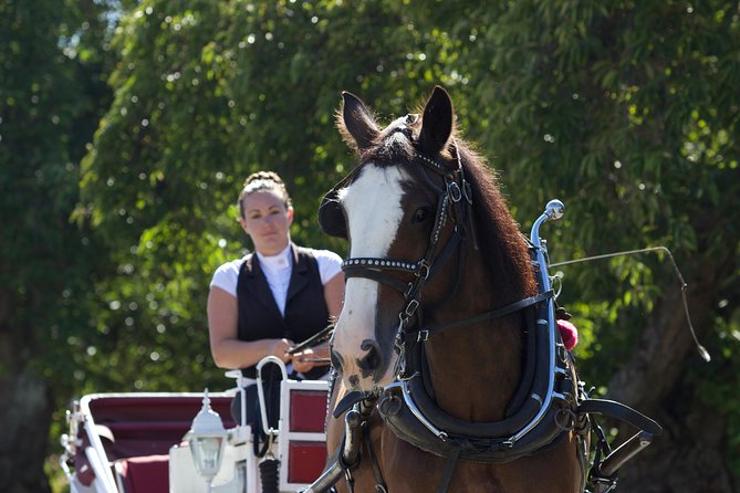 Heritage Horse-Drawn Carriage Experience in Victoria - Highlights of the Tour