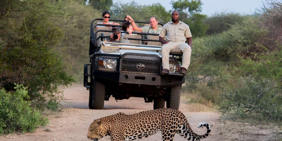 High-End 5 Day All-Inclusive Kruger & Panorama Tour From JHB - Tour Overview