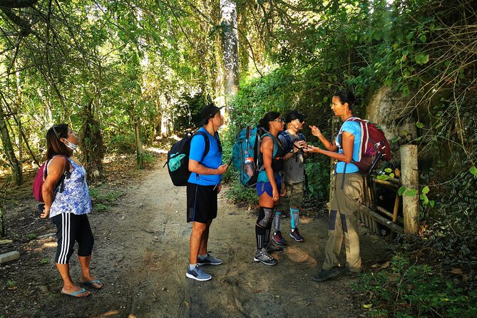 Highlights of Abraão and Enseada Das Estrela in a 4-Hour Tour