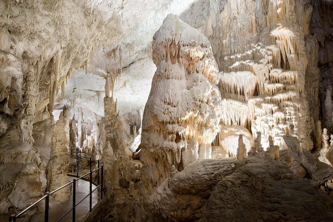 Highlights of Slovenia - Postojna & Bled (Tickets Included) - Inclusions