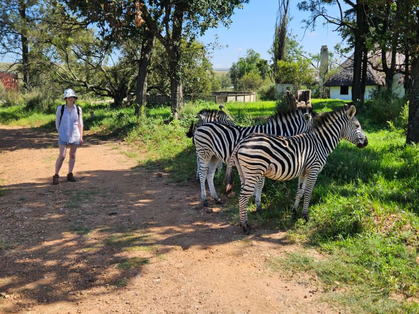 Hike in a Wildlife Reserve With Wild Animals (No Predators) | Travel ...