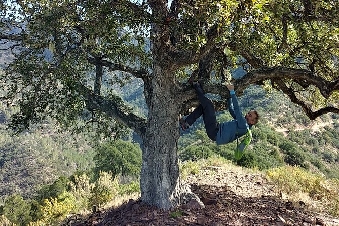 Hike the Cork Oak Trail and Try Some Delicious Cheese