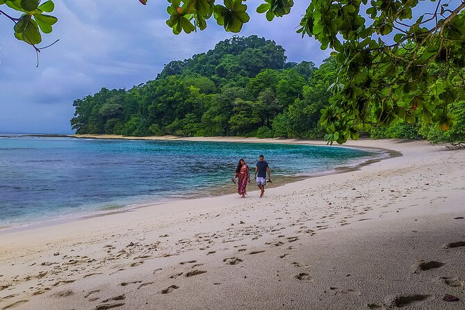 Hike to Elephant Beach Exploring Tropical Flora and Fauna