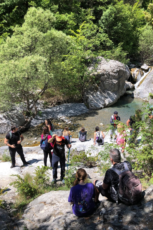 Hiking in Mt Olympus National Park - Tour Overview