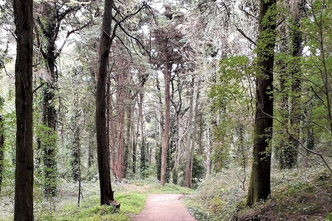 Hiking in Sintra-Cascais Natural Park