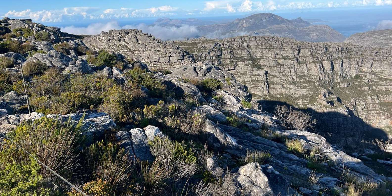 Hiking Table Mountain in Cape Town on a Private Day Trip - Exploring Table Mountains Majestic Terrain