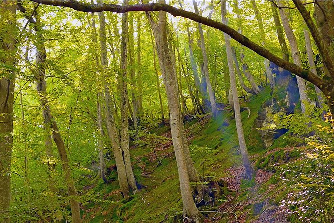 Hiking Tour Lost in the Forest