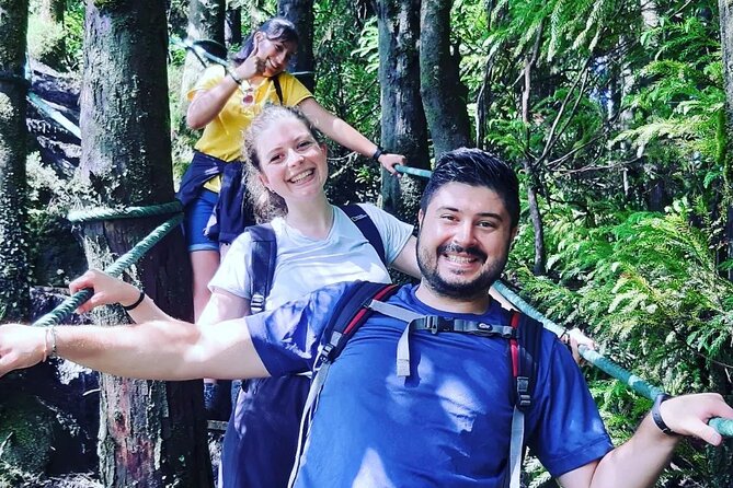 Hiking Trail Rocha Do Chambre | Terceira Island - Overview and Recommendations