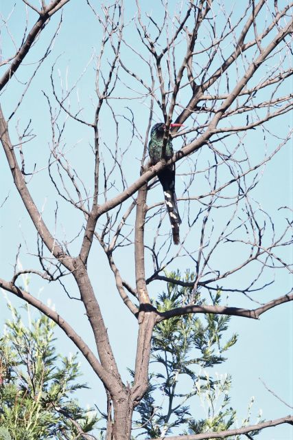 Hiking Trail to the Cave - Overview of the Hiking Trail