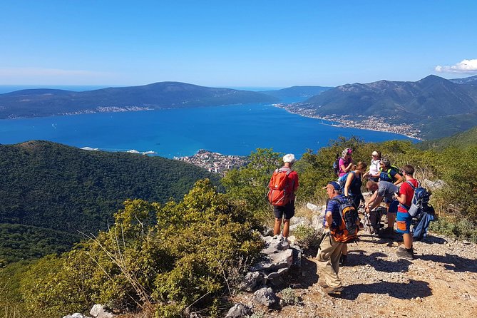 Hiking Vrmac Peninsula With Panoramic View on Kotor Bay