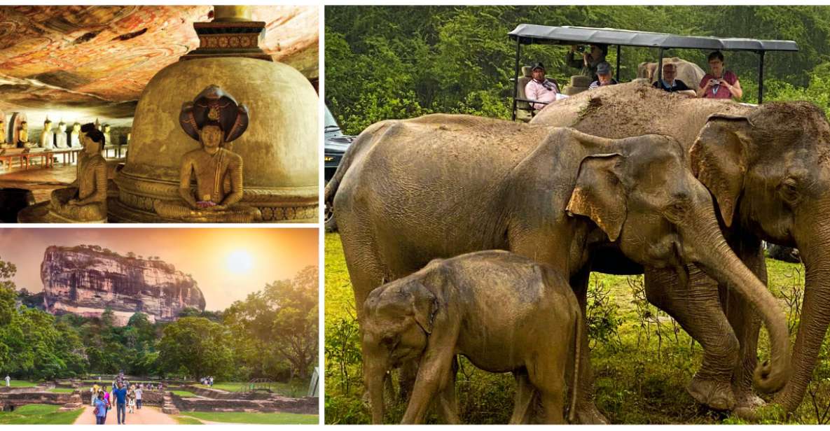 Hill Country Wonders & Cultural Hotspots in Sri Lanka - Tour Overview