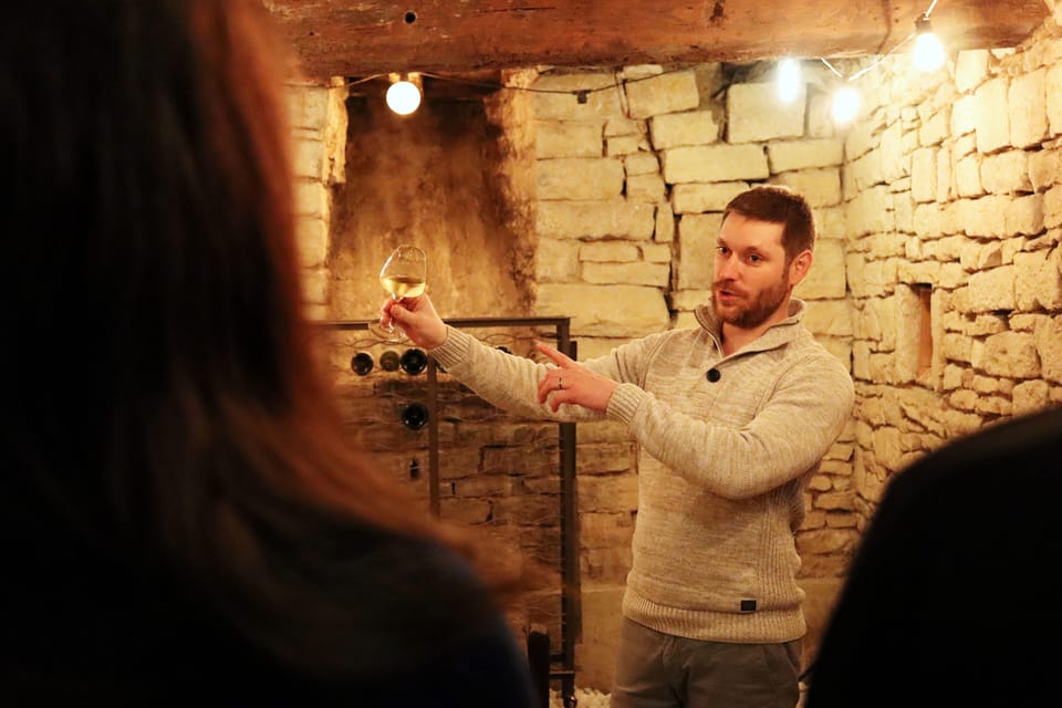 Historic Center of Dijon : Discovery Tasting Wine Burgundy - Activity Overview