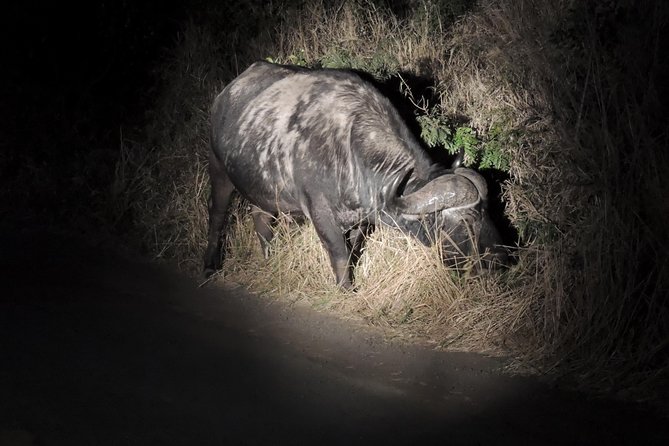 Hluhluwe/iMfolozi Game Reserve Full Day Game Drive - Inclusions and Amenities