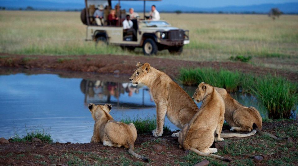 Hluhluwe & Isimangaliso Wetlands Park 3 Day Tour From Durban - Tour Overview