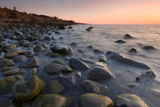 Hopewell Rocks Express Tour From Moncton