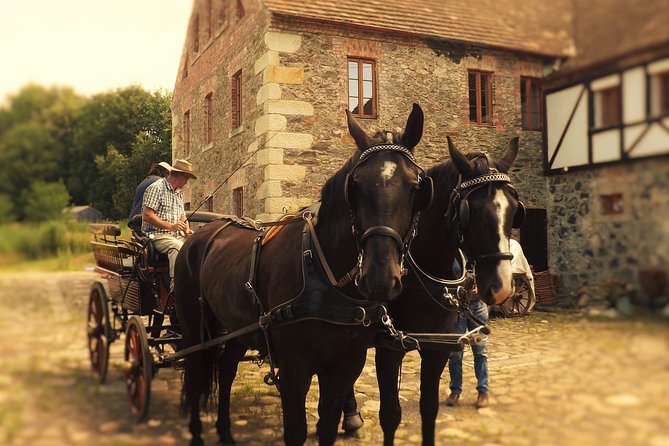 Horse and Carriage Tours With Polish Traditional Food Experience - Tour Overview