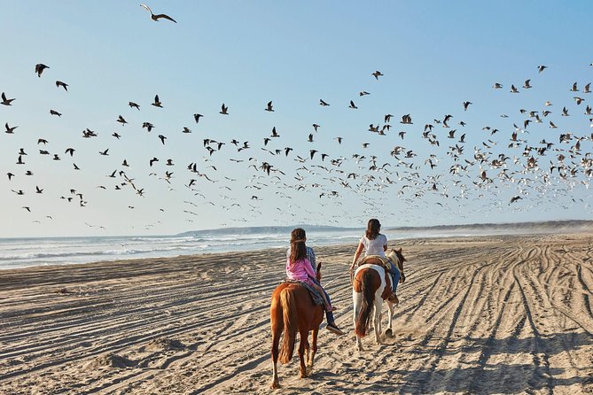 Horse Ride & BARBECUE on Ritoque Beach&Sand Dunes FROM VALPARAISO